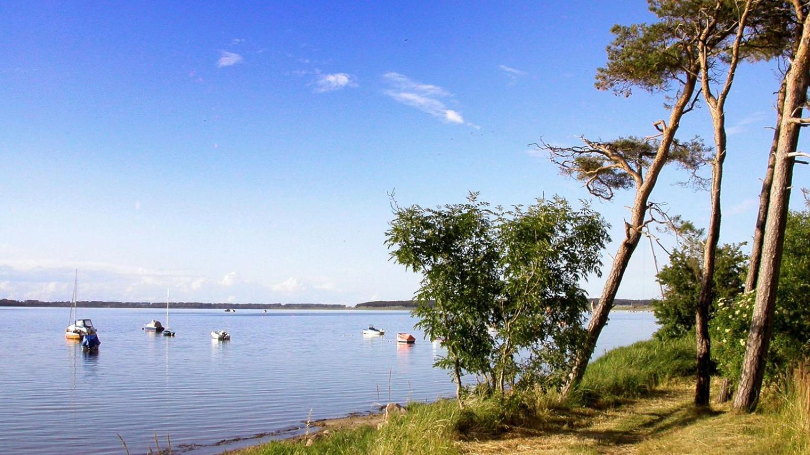 Werder Chalet -- Wolke 7 -- Ostsee-Strand 150M I Sauna I Ekamin I Tiny House Fuer 2 Personen I By "Meyers Am Meer" Boiensdorf Zewnętrze zdjęcie